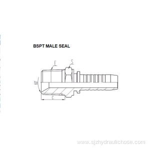 BSPT Male Seal 13011-SP